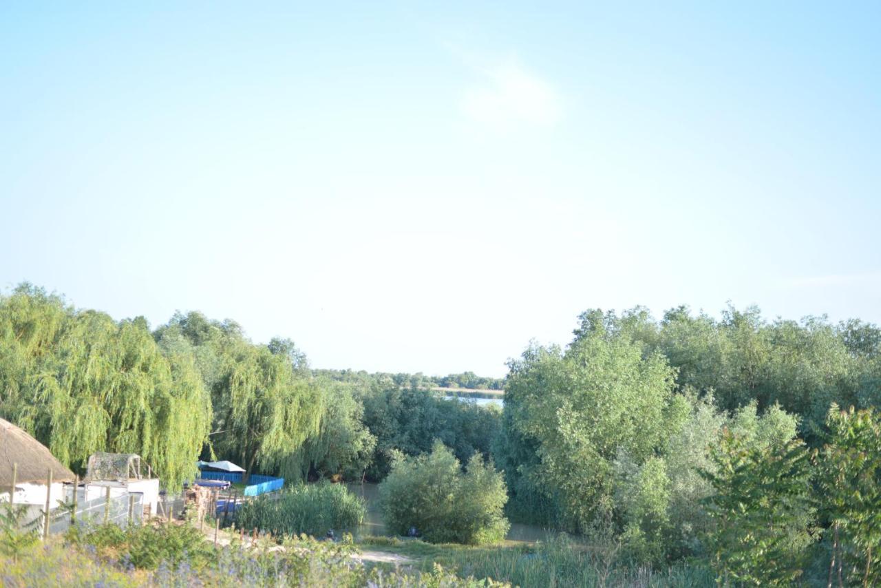 Pensiunea Yogi Dunavăţu de Jos Esterno foto