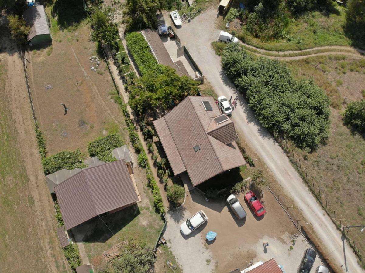 Pensiunea Yogi Dunavăţu de Jos Esterno foto
